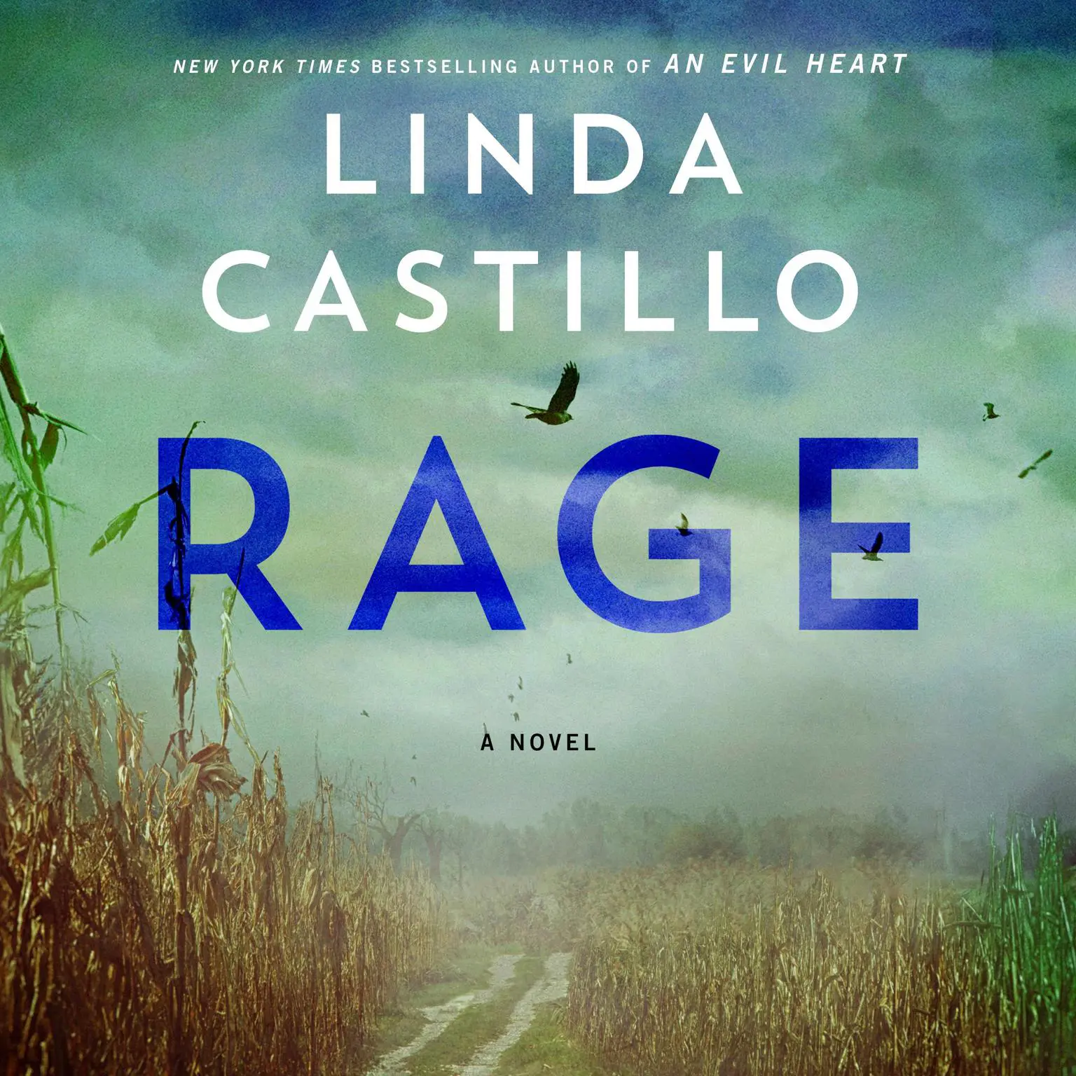 Rage: A Novel Audiobook, by Linda Castillo