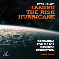 Taming the Risk Hurricane: Preparing for Major Business Disruption Audibook, by David  Hillson