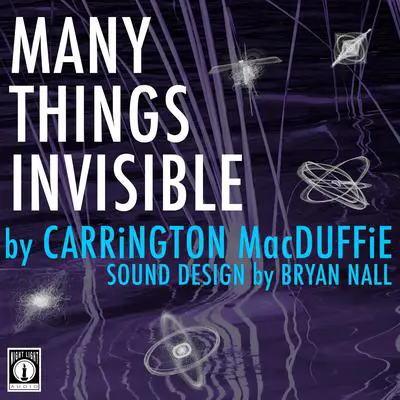 Many Things Invisible Audibook, by Carrington MacDuffie