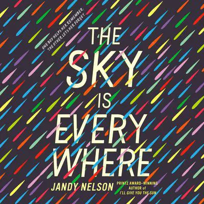 The Sky Is Everywhere Audibook, by Jandy Nelson