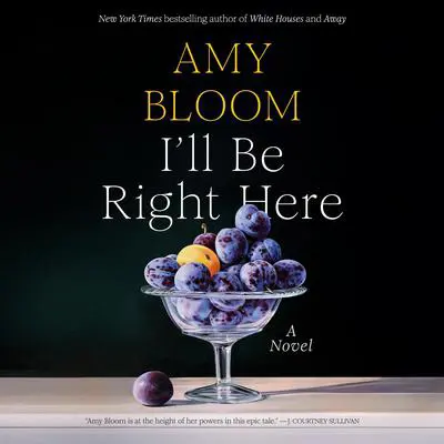 I'll Be Right Here: A Novel Audibook, by Amy Bloom