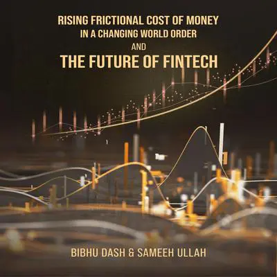 Rising Frictional Cost of Money in A Changing World Order And The Future of Fintech Audibook, by Bibhu Dash