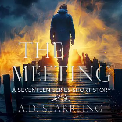 The Meeting: Seventeen Series Short Story 3 Audibook, by A. D. Starrling