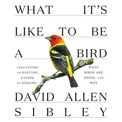 What It's Like to Be a Bird: From Flying to Nesting, Eating to Singing--What Birds Are Doing, and Why Audibook, by David Allen Sibley