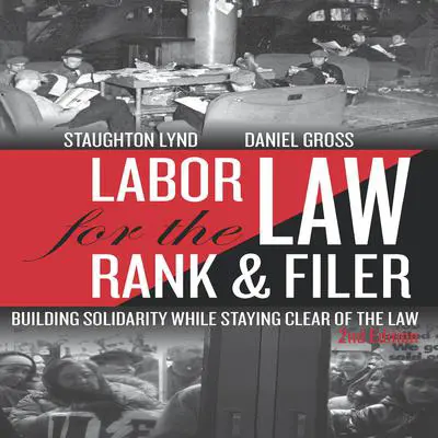 Labor Law for the Rank & Filer: Building Solidarity While Staying Clear of the Law Audibook, by Daniel Gross
