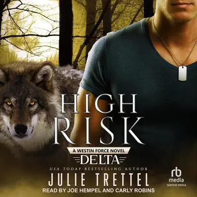High Risk Audibook, by Julie Trettel