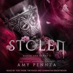 Stolen Audibook, by Amy Pennza