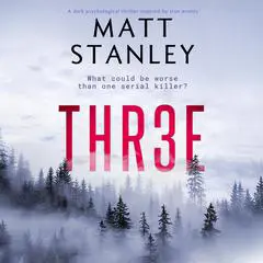 THR3E Audibook, by Matt Stanley
