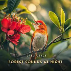 Forest Sounds at Night: Nature's Lullaby for Sleep and Meditation Audibook, by Greg Cetus