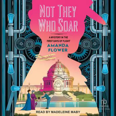 Not They Who Soar Audibook, by Amanda Flower