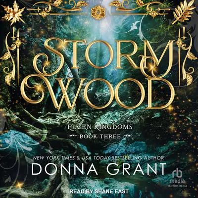 Storm Wood Audibook, by Donna Grant
