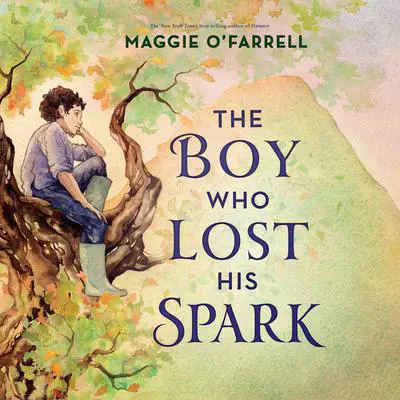 The Boy Who Lost His Spark Audibook, by Maggie O’Farrell