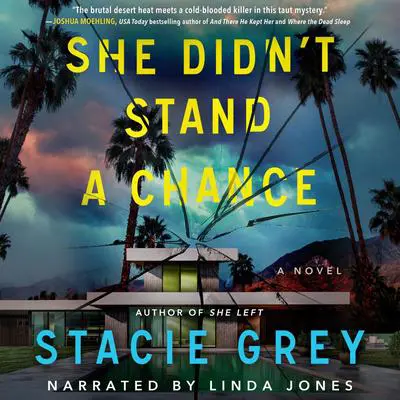 She Didn't Stand a Chance: A Novel Audibook, by Stacie Grey
