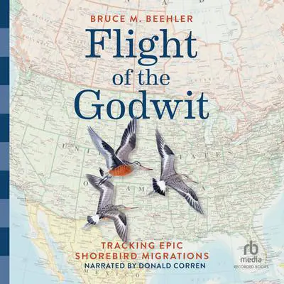Flight of the Godwit: Tracking Epic Shorebird Migrations Audibook, by Bruce M. Beehler