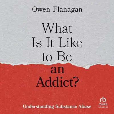 What Is It Like to Be an Addict?: Understanding Substance Abuse Audibook, by Owen Flanagan