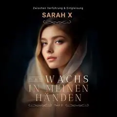 Du bist Wachs in meinen Händen #2: Zwischen Verführung und Entgleisung Audibook, by Sarah X