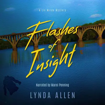 Flashes of Insight Audibook, by Lynda Allen