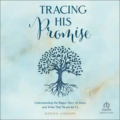 Tracing His Promise: Understanding the Bigger Story of Jesus and What That Means for Us Audibook, by Donna Amidon