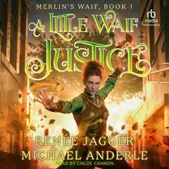 A Little Waif Justice Audibook, by Michael Anderle