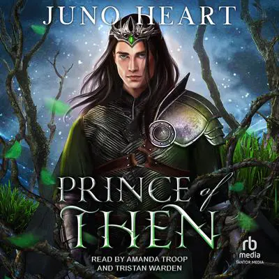 Prince of Then Audibook, by Juno Heart