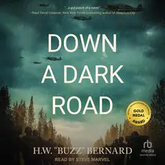 Down a Dark Road Audibook, by H.W. “Buzz” Bernard