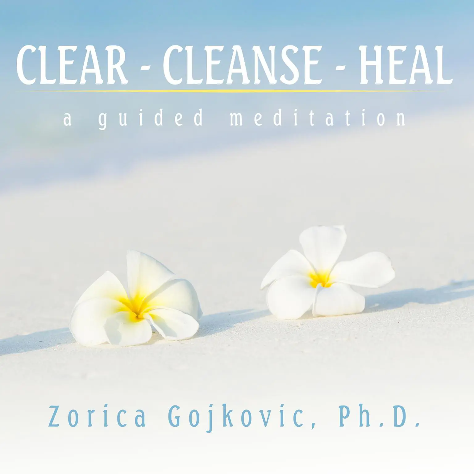 Clear, Cleanse, Heal: A Guided Meditation Audiobook, by Zorica Gojkovic