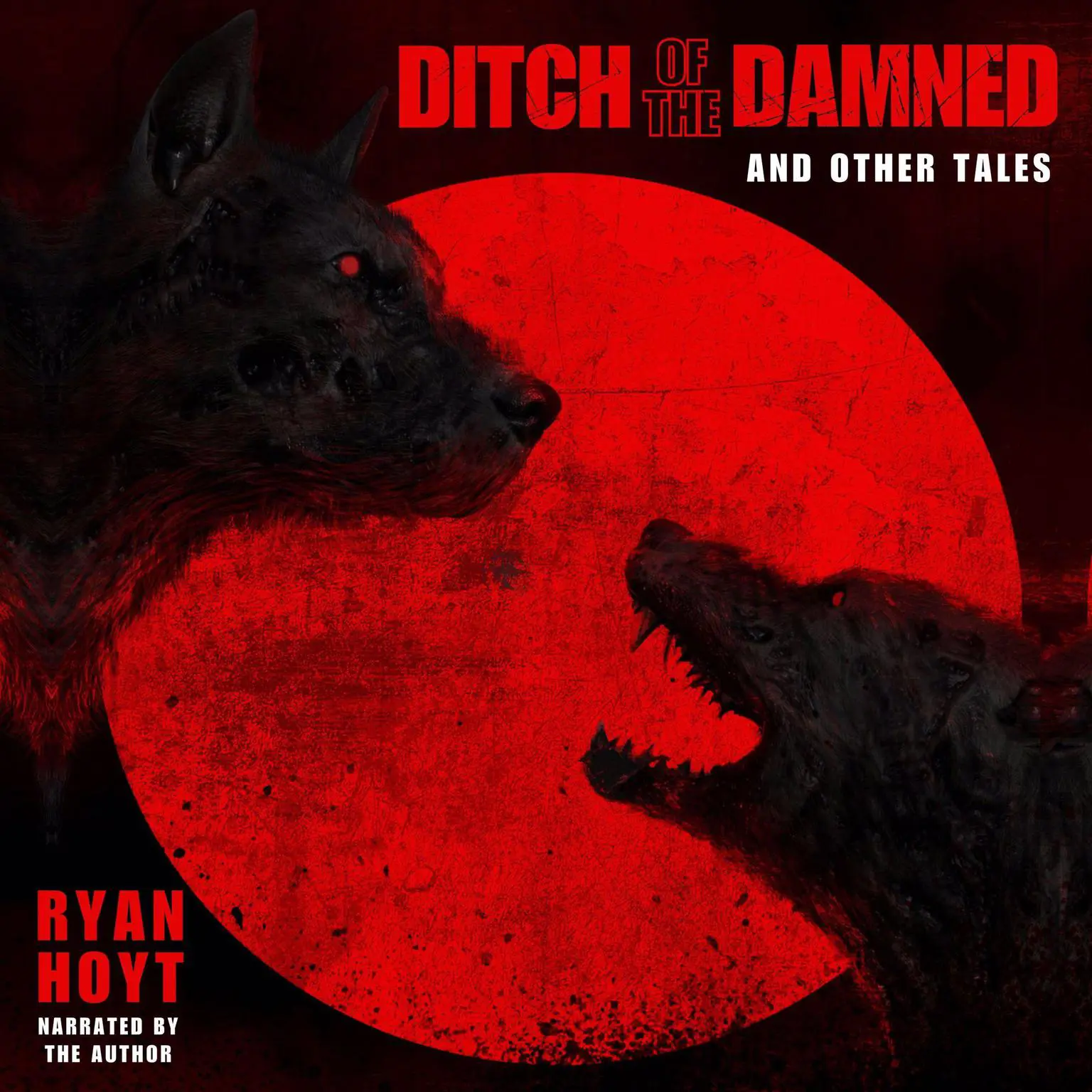 Ditch of the Damned and Other Tales Audiobook, by Ryan Hoyt