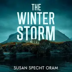 The Winter Storm: A Jacklyn Stone Thriller Audibook, by Susan Sprecht Oram