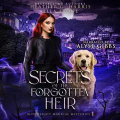 Secrets of the Forgotten Heir: An Urban Fantasy Novel Audibook, by Heather G. Harris