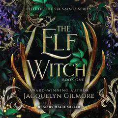 The Elf Witch Audibook, by Jacquelyn Gilmore
