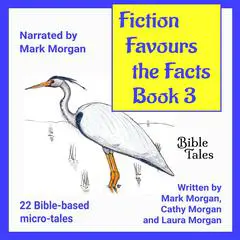 Fiction Favours the Facts – Book 3: Yet another 22 Bible-based micro-tales Audibook, by Mark Morgan