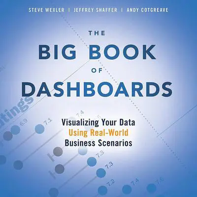 Big Book of Dashboards, The: Visualizing Your Data Using Real-World Business Scenarios Audibook, by Jeffrey Shaffer