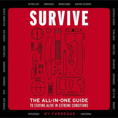 Survive: The All-In-One Guide to Staying Alive in Extreme Conditions (Bushcraft, Wilderness, Outdoors, Camping, Hiking, Orienteering) Audibook, by Ky Furneaux